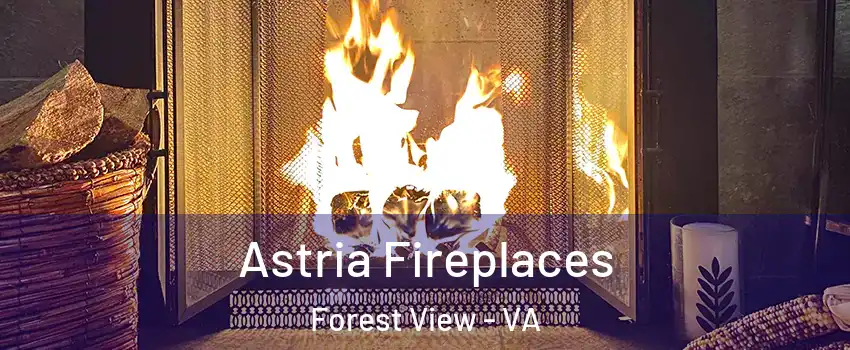 Astria Fireplaces Forest View - VA
