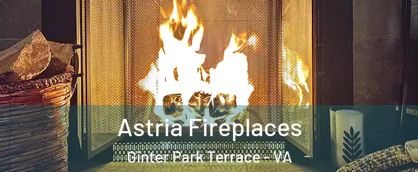 Astria Fireplaces Ginter Park Terrace - VA