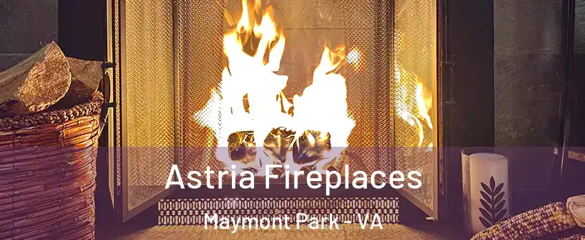 Astria Fireplaces Maymont Park - VA