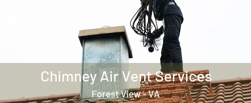 Chimney Air Vent Services Forest View - VA