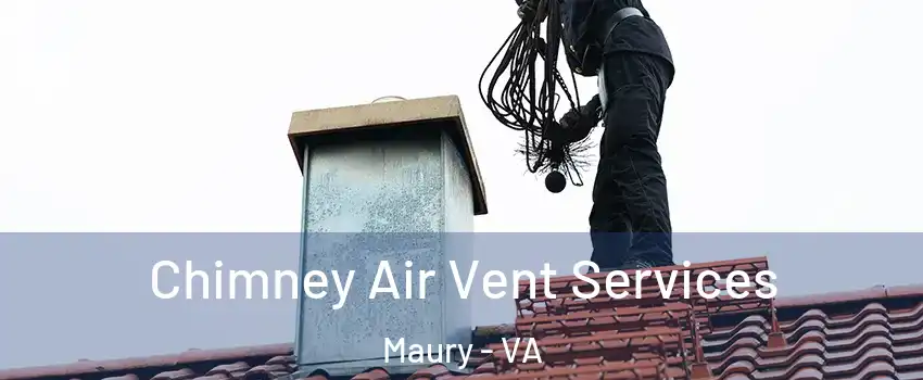 Chimney Air Vent Services Maury - VA