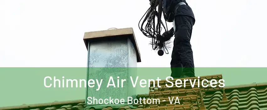 Chimney Air Vent Services Shockoe Bottom - VA