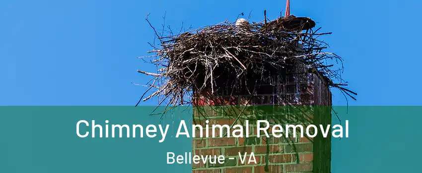 Chimney Animal Removal Bellevue - VA
