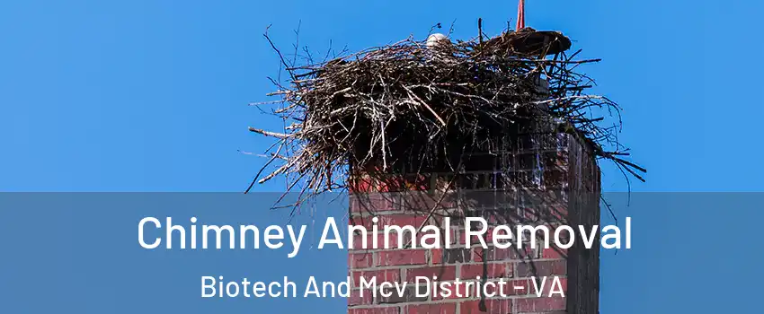Chimney Animal Removal Biotech And Mcv District - VA