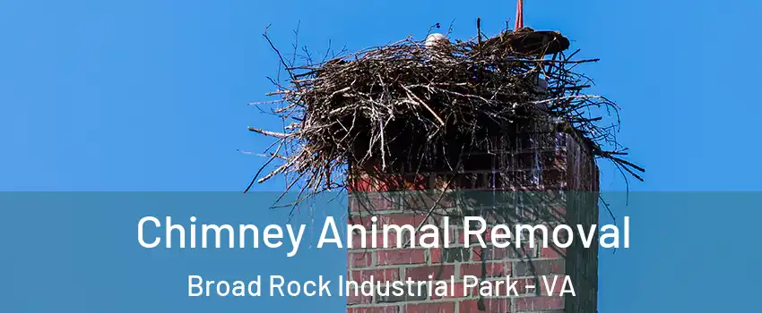 Chimney Animal Removal Broad Rock Industrial Park - VA