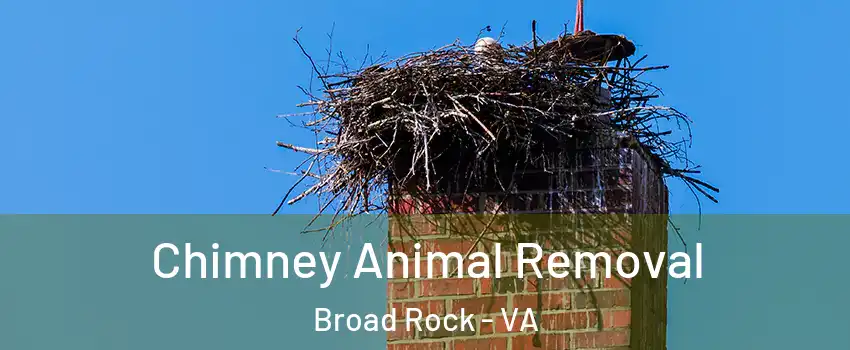 Chimney Animal Removal Broad Rock - VA