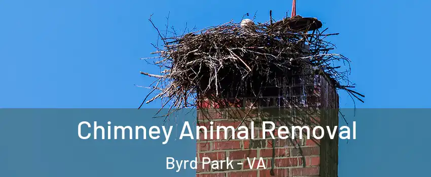 Chimney Animal Removal Byrd Park - VA