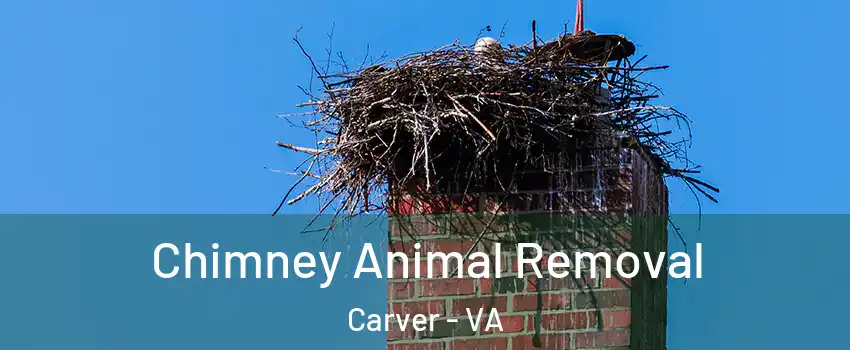 Chimney Animal Removal Carver - VA