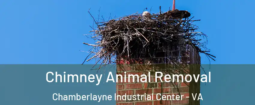 Chimney Animal Removal Chamberlayne Industrial Center - VA