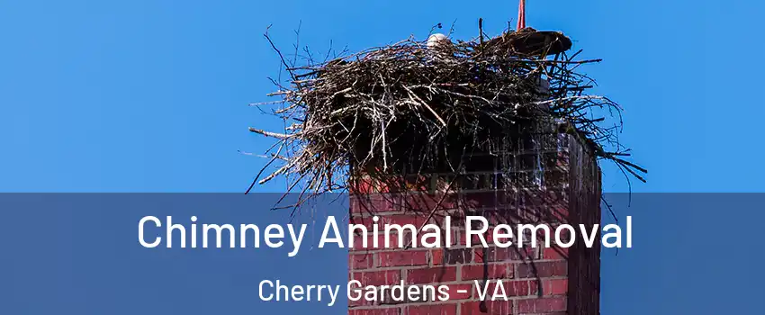 Chimney Animal Removal Cherry Gardens - VA