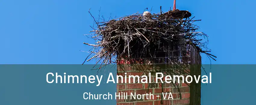 Chimney Animal Removal Church Hill North - VA