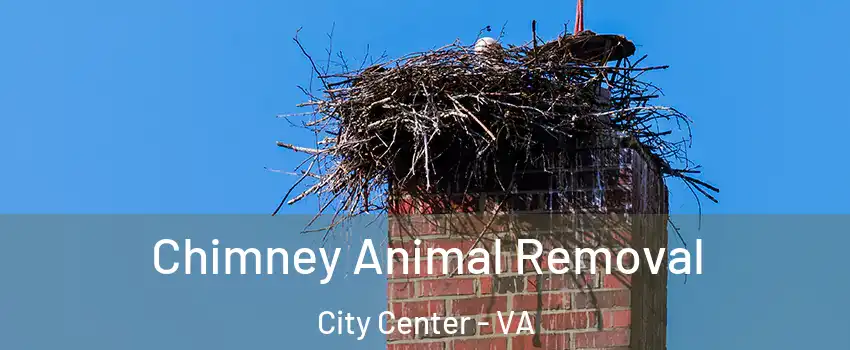 Chimney Animal Removal City Center - VA