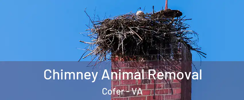 Chimney Animal Removal Cofer - VA
