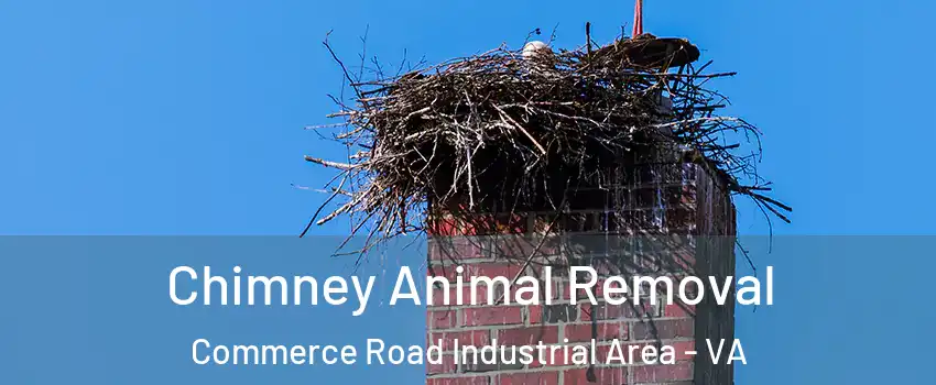 Chimney Animal Removal Commerce Road Industrial Area - VA