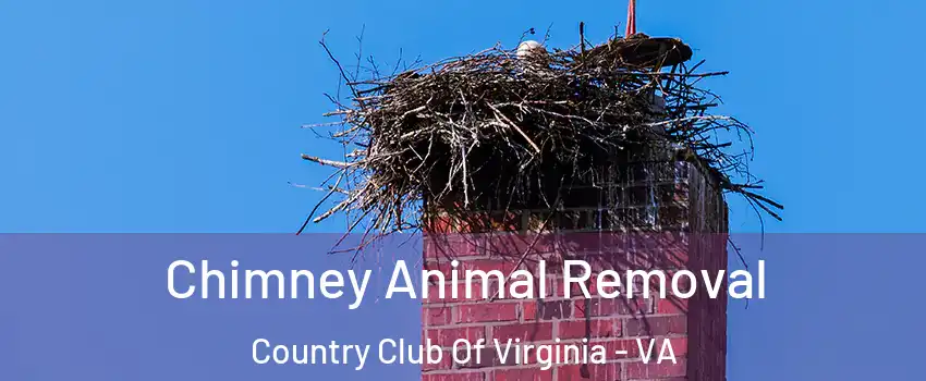 Chimney Animal Removal Country Club Of Virginia - VA