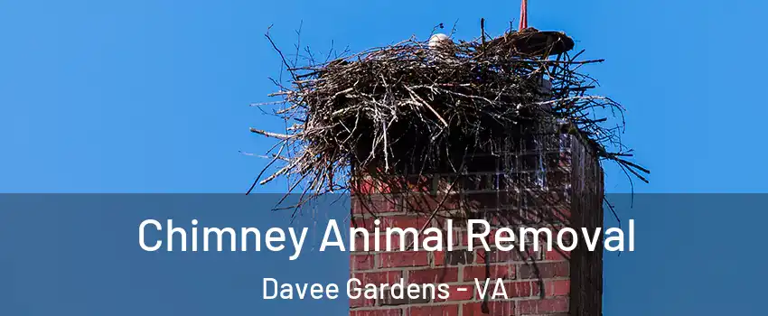 Chimney Animal Removal Davee Gardens - VA