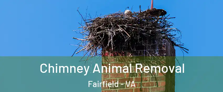 Chimney Animal Removal Fairfield - VA