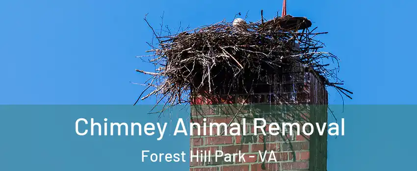Chimney Animal Removal Forest Hill Park - VA