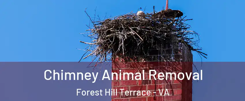 Chimney Animal Removal Forest Hill Terrace - VA