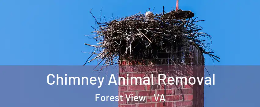 Chimney Animal Removal Forest View - VA