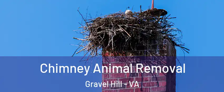 Chimney Animal Removal Gravel Hill - VA