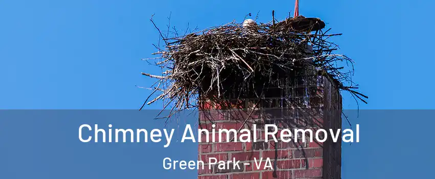 Chimney Animal Removal Green Park - VA