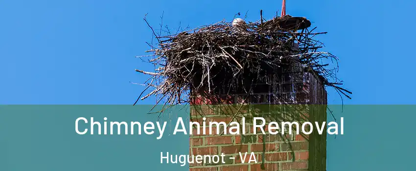 Chimney Animal Removal Huguenot - VA