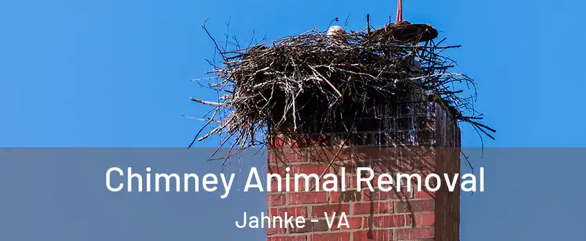 Chimney Animal Removal Jahnke - VA