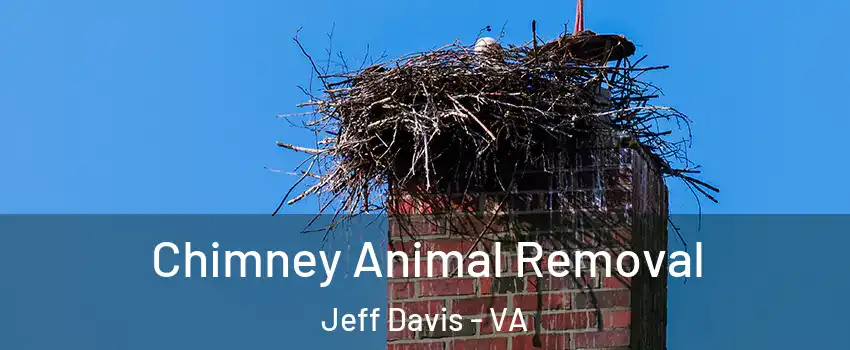 Chimney Animal Removal Jeff Davis - VA