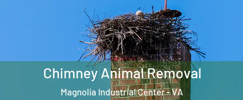 Chimney Animal Removal Magnolia Industrial Center - VA