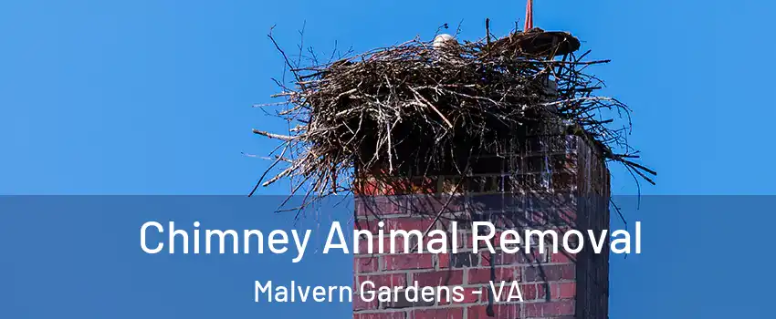 Chimney Animal Removal Malvern Gardens - VA