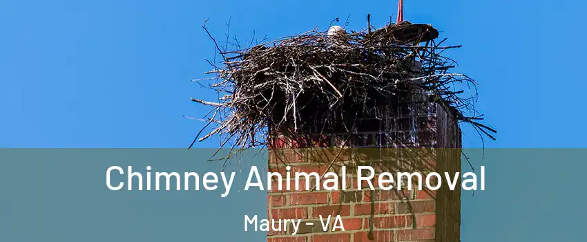 Chimney Animal Removal Maury - VA