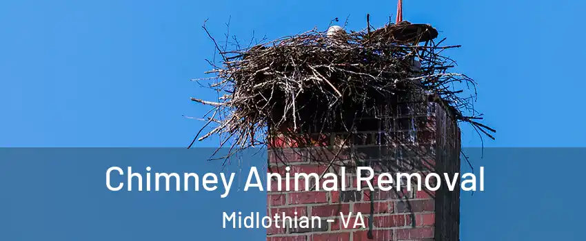 Chimney Animal Removal Midlothian - VA