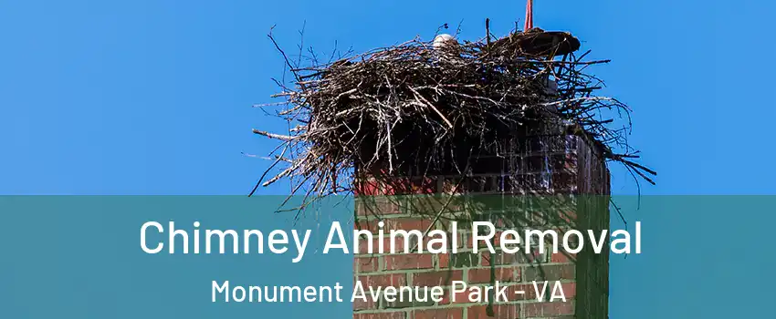 Chimney Animal Removal Monument Avenue Park - VA