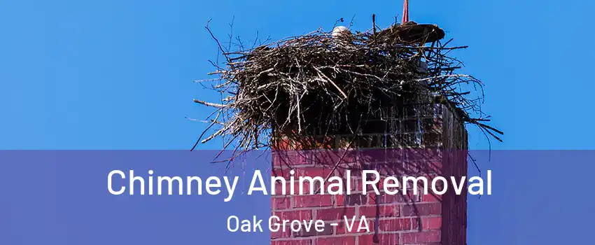 Chimney Animal Removal Oak Grove - VA