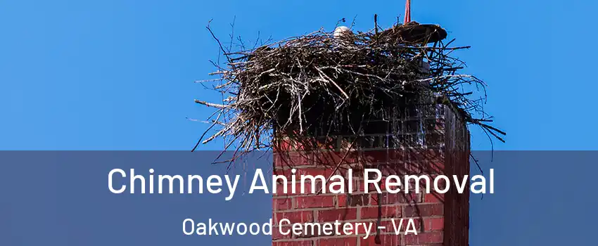 Chimney Animal Removal Oakwood Cemetery - VA