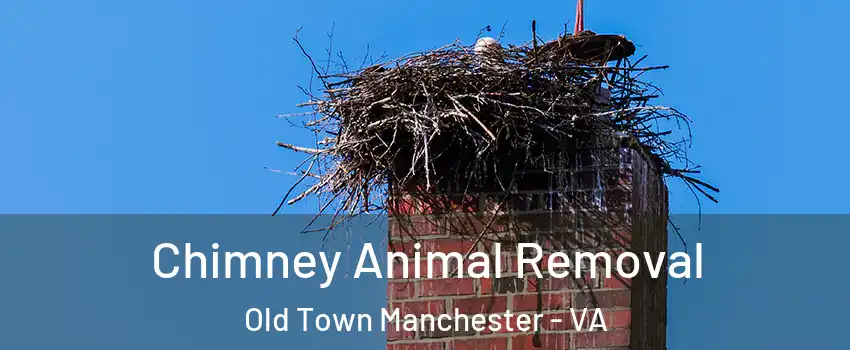 Chimney Animal Removal Old Town Manchester - VA