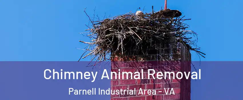 Chimney Animal Removal Parnell Industrial Area - VA
