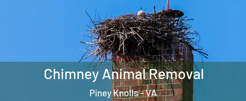 Chimney Animal Removal Piney Knolls - VA