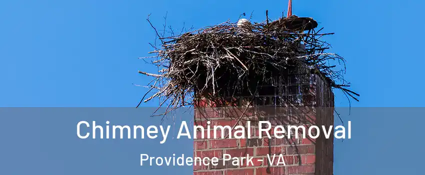 Chimney Animal Removal Providence Park - VA