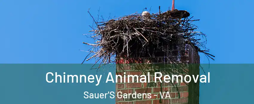 Chimney Animal Removal Sauer'S Gardens - VA