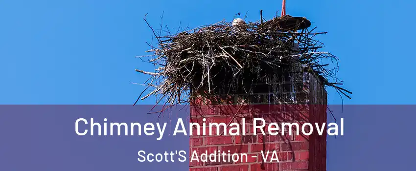 Chimney Animal Removal Scott'S Addition - VA