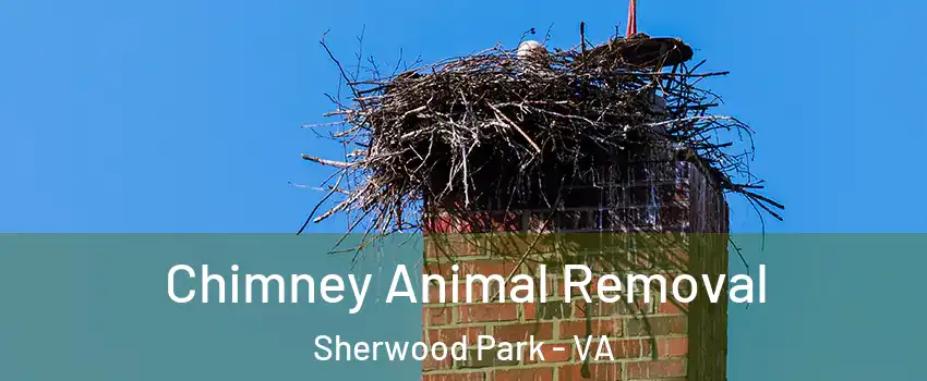 Chimney Animal Removal Sherwood Park - VA