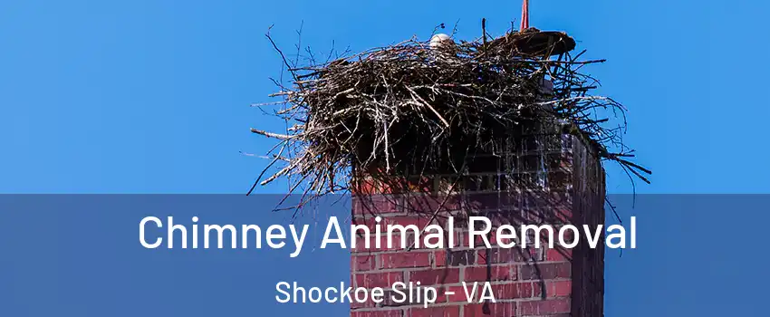 Chimney Animal Removal Shockoe Slip - VA
