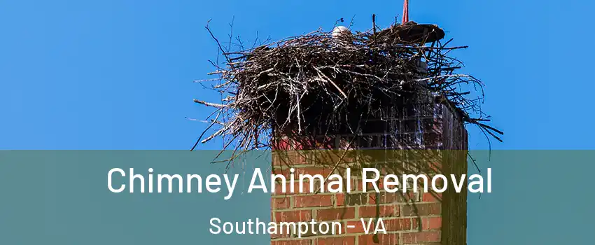 Chimney Animal Removal Southampton - VA