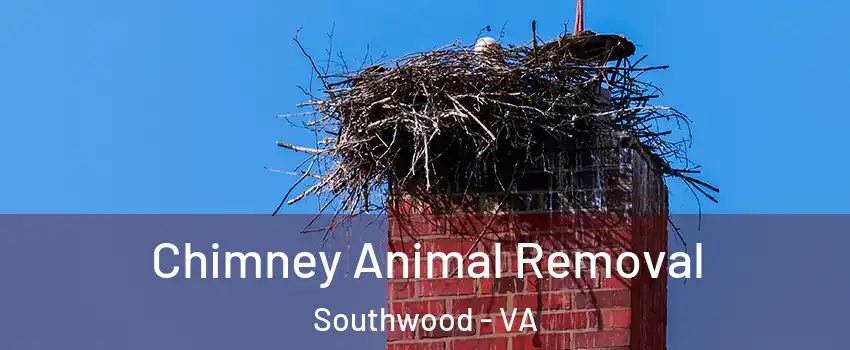 Chimney Animal Removal Southwood - VA