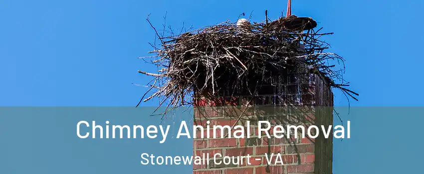Chimney Animal Removal Stonewall Court - VA