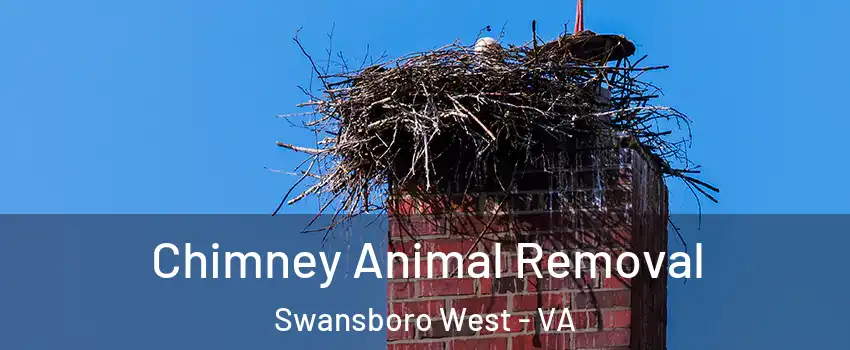Chimney Animal Removal Swansboro West - VA