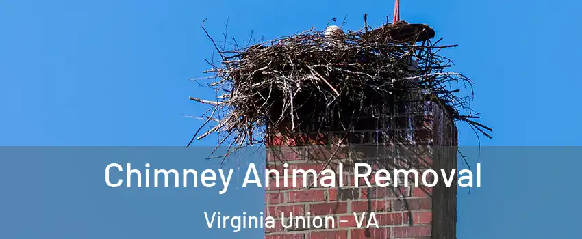 Chimney Animal Removal Virginia Union - VA