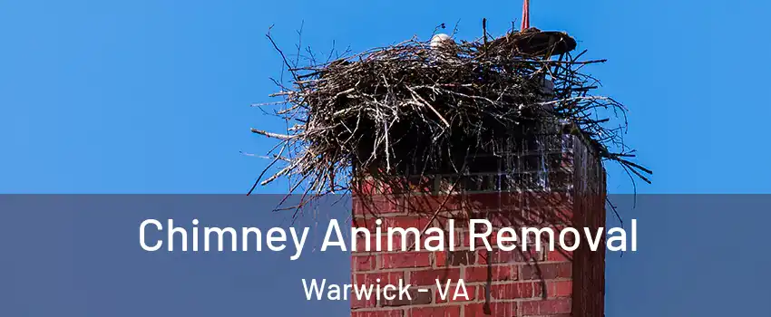 Chimney Animal Removal Warwick - VA